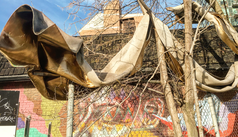 The urban wilderness of West Queen West is both framed and embraced by the wandering sculpture.