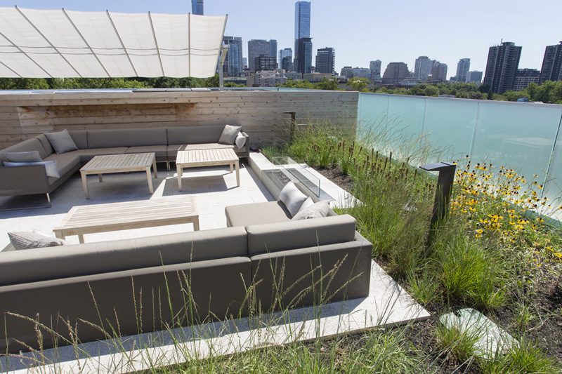 Lounge furniture is clustered around a fire pit embedded into the edge of the planting bed.