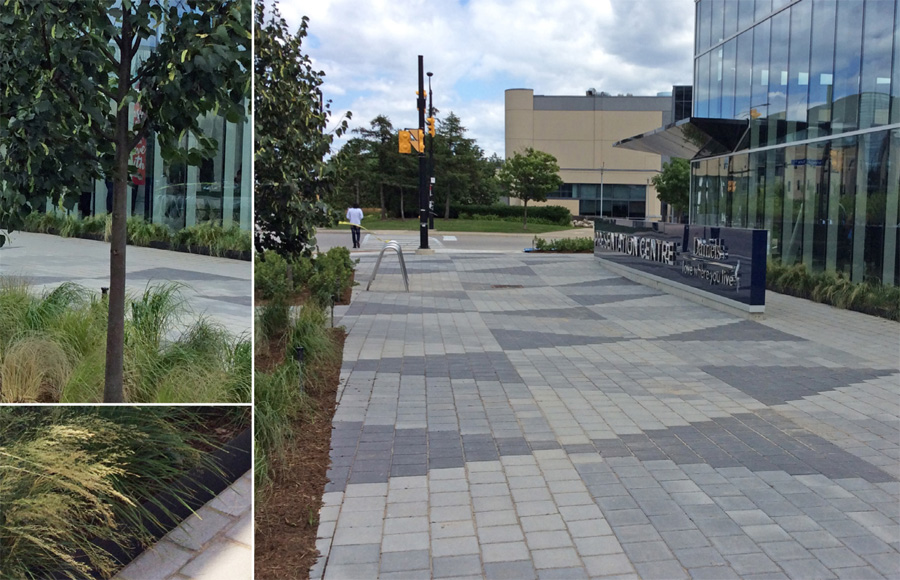 Details of paving and planting surrounding the sales centre